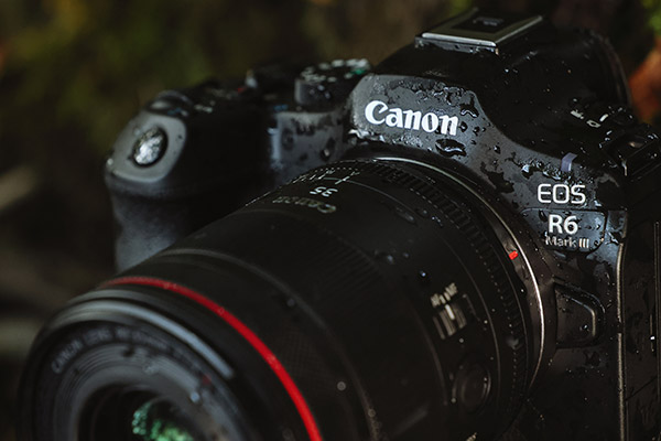 Canon EOS R6III