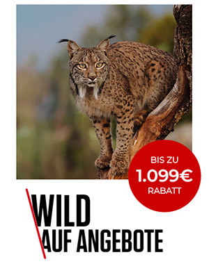 Canon  - Wild auf Angebote