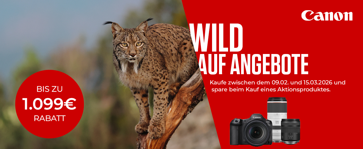 Canon - Wild auf Angebote.