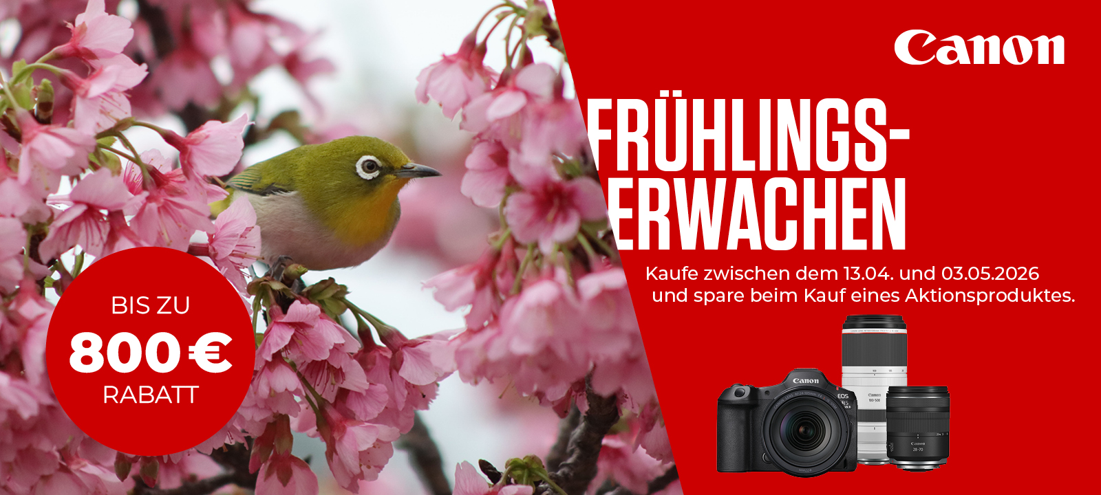 CAN_Frühlingserwachen_Banner1200x540 Canon Frühlingserwachen