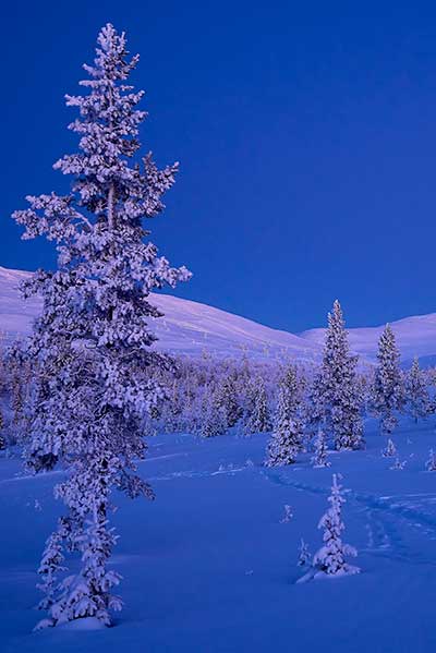 Nordlichtreise